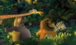 madagascar2