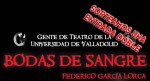 concursobodasntd