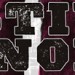 fdn