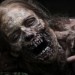 twdppal