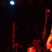 Posies_1_ntd