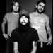 band of horses
