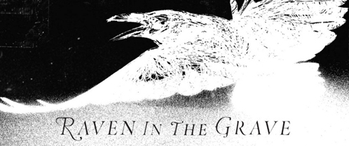 The Raveonettes / Raven In The Grave