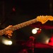 _MG_8175 (2)