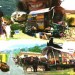 La gira en burro