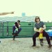 con_Monkeys