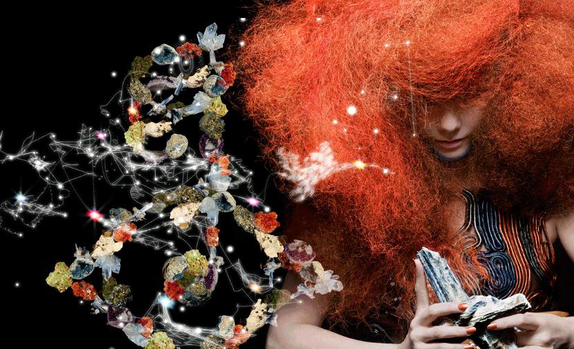 Björk estará en Junio en Santiago de Compostela en la Cidade da Cultura