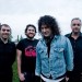 the cynics