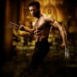 WolverineNatNovy