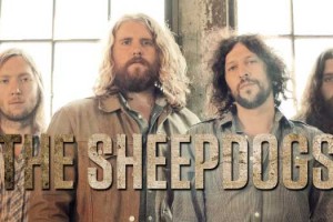 the-sheepdogs
