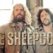the-sheepdogs