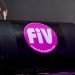 FIV