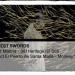 forest swords