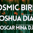 Concierto de Cosmic Birds en la Sala BarCo de Madrid el 14 de Marzo.