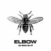 elbowbee