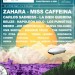 201059_description_Cartel_Happy_Sundays_MAILCHIMP