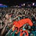 die antwoord