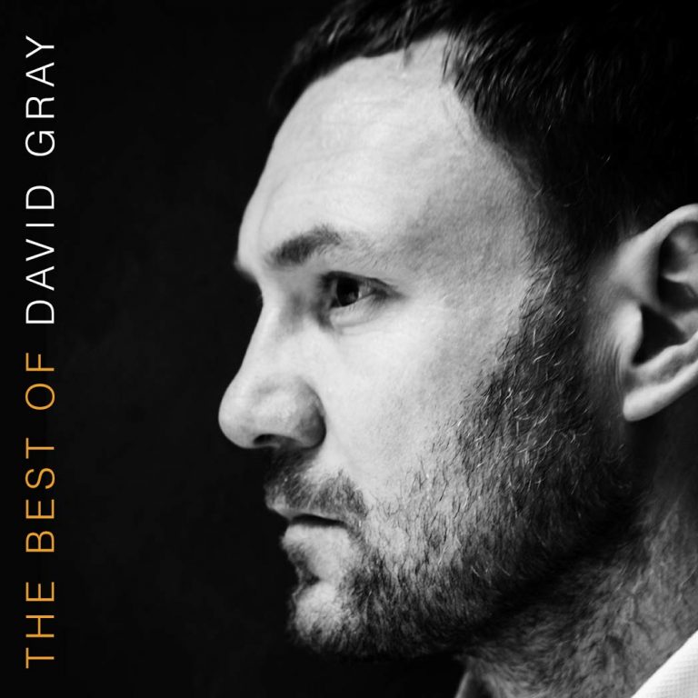davidgray1