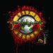 guns n roses