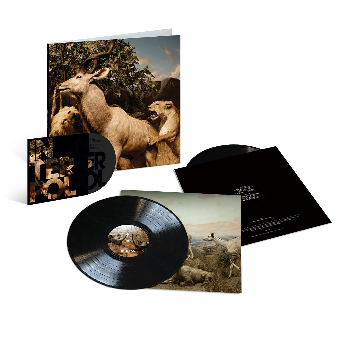 lp y dvd interpol our love to admire reissue