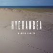 Mario Harper presentará su nuevo disco 'Hydrangea' en Madrid y Barcelona