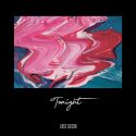 Lost Gecko presenta su nuevo single “Tonight”