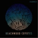 El nuevo viaje ácido de Beachwood Coyotes se llama “Discipline”