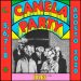 idles cabeza de cartel del canela party 2020