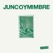junco y mimbre