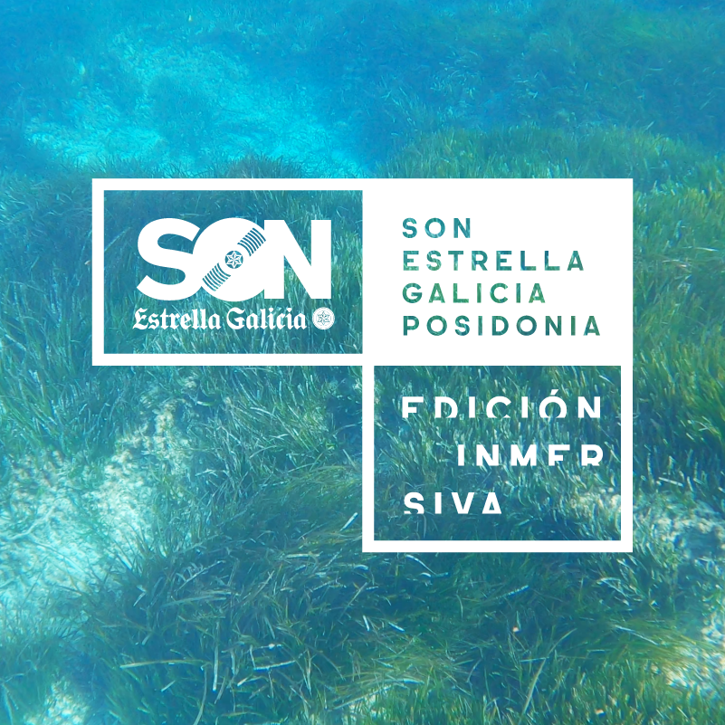 son estrella galicia posidonia