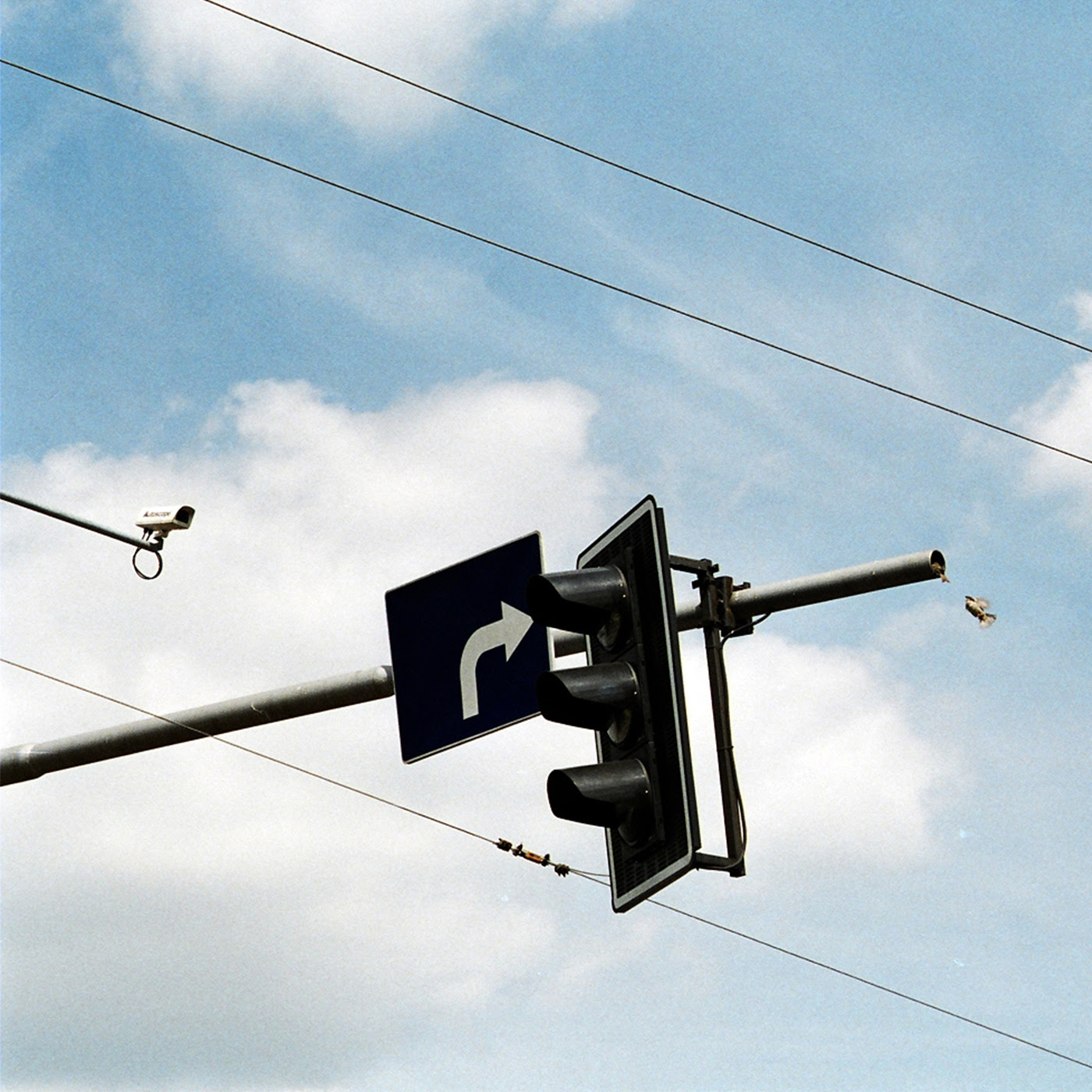 toma-de-tierra-ligula