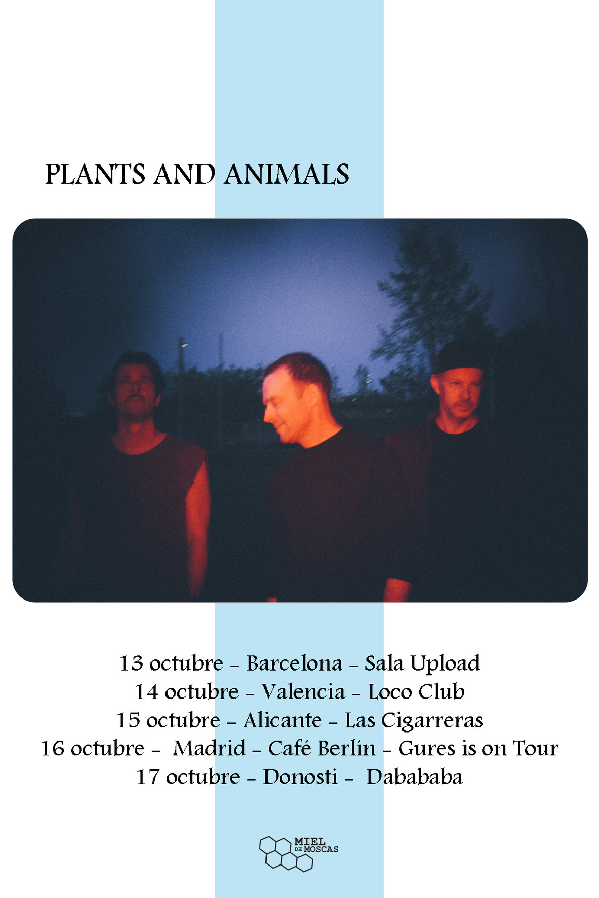 plants-and-animals-gira-the-jungle