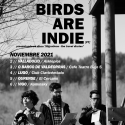 Birds Are Indie estarán esta semana en Valladolid, O Barco de Valdeorras, Lugo, Orense y Vigo presentando ‘Migrations’