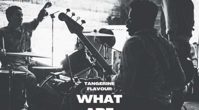 Tangerine Flavour anuncian adelanto de su nuevo disco, ‘What Are You Doing?’