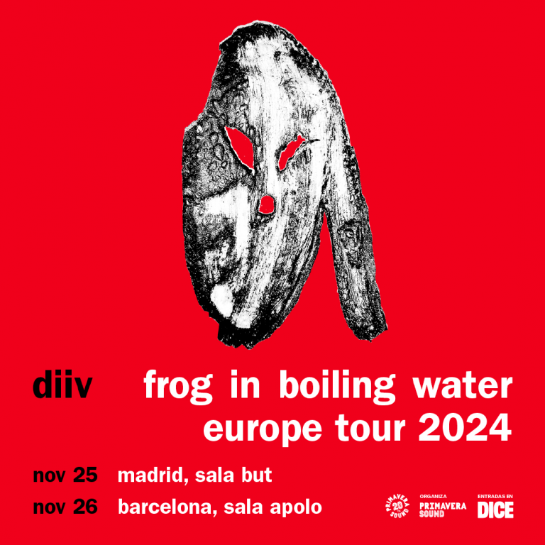diiv frog tour 2024