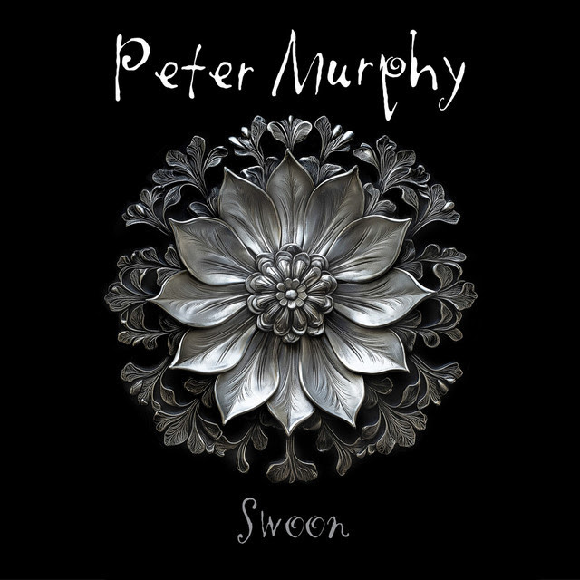 swoon peter murphy