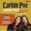 ultimas entradas larkin poe