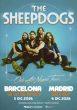 the sheepdogs madrid barcelona 2026