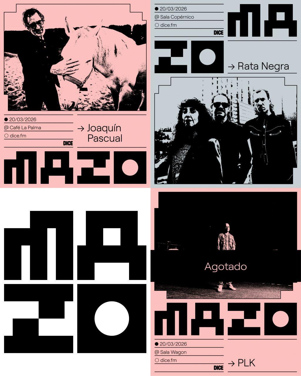 mazo plk rata negra joaquin pascual