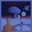 chameleons-arctic-moon-2026-tour-spanish