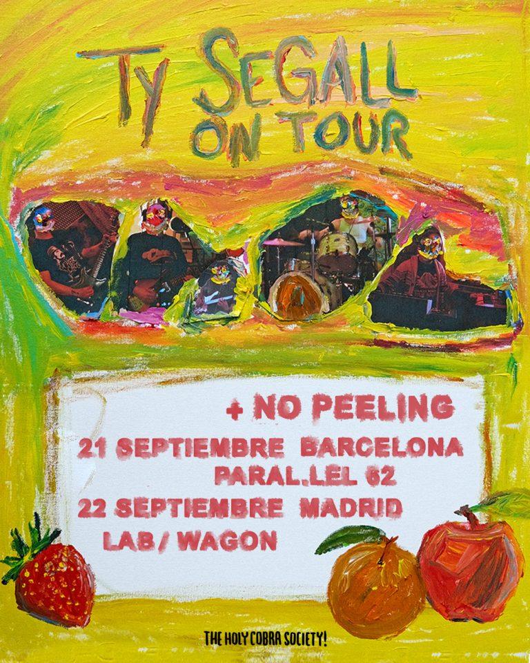 ty segall cambio de sala madrid