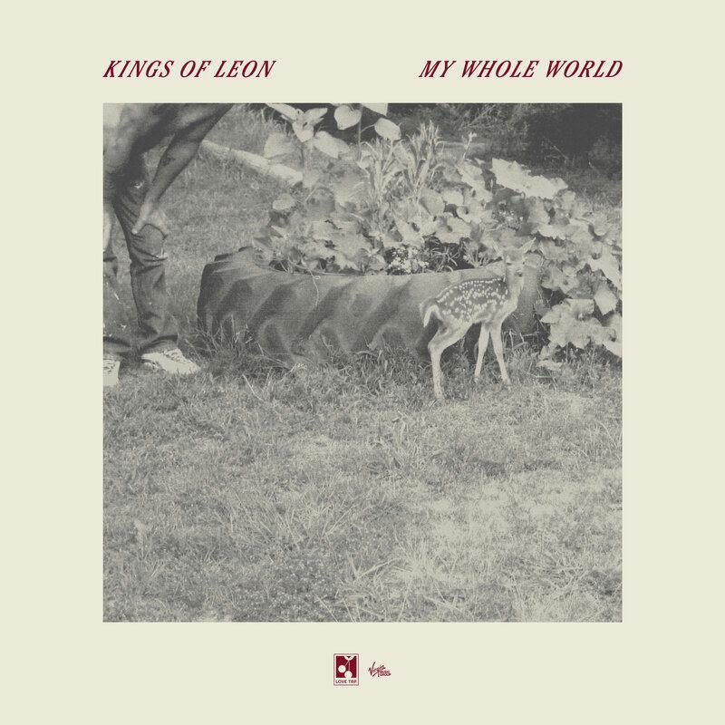 my whole world kings of leon