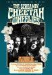 30-aniversario-magnolia-cheetah